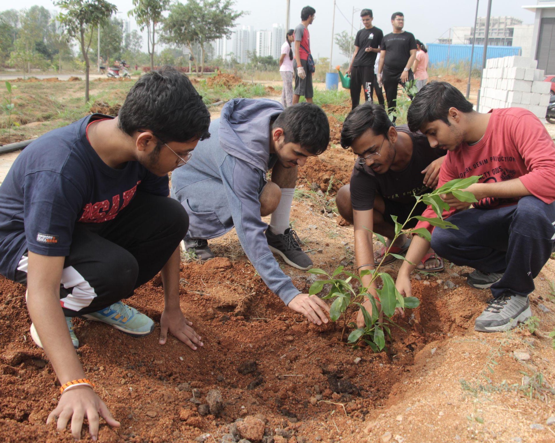 Plantation drive