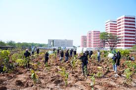 Miyawaki Method of Plantation